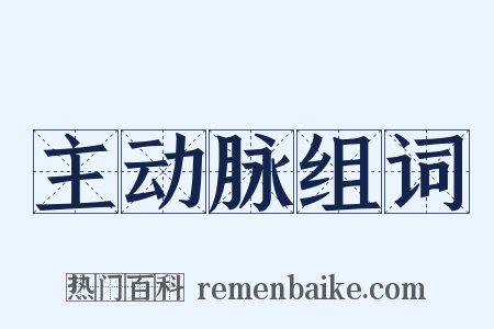 主动脉组词是什么意思的图片